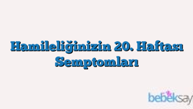 Hamileliğinizin 20. Haftası Semptomları