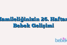 Hamileliğinizin 26. Haftası Bebek Gelişimi