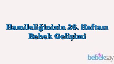 Hamileliğinizin 26. Haftası Bebek Gelişimi
