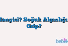 Hangisi? Soğuk Algınlığı? Grip?