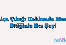 Kalça Çıkığı Hakkında Merak Ettiğiniz Her Şey!