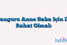 Kanguru Anne Baba Için De Rahat Olmalı