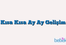 Kısa Kısa Ay Ay Gelişim