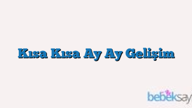 Kısa Kısa Ay Ay Gelişim