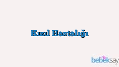 Kızıl Hastalığı