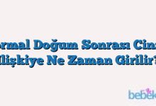 Normal Doğum Sonrası Cinsel Ilişkiye Ne Zaman Girilir?