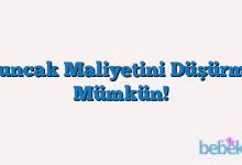 Oyuncak Maliyetini Düşürmek Mümkün!