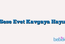 Sese Evet Kavgaya Hayır