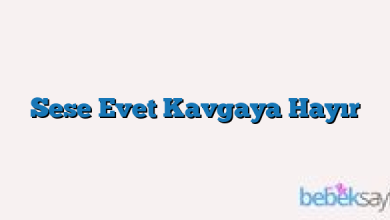 Sese Evet Kavgaya Hayır