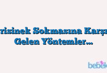 Sivrisinek Sokmasına Karşı Iyi Gelen Yöntemler…