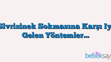 Sivrisinek Sokmasına Karşı Iyi Gelen Yöntemler…