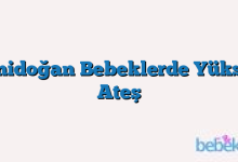 Yenidoğan Bebeklerde Yüksek Ateş