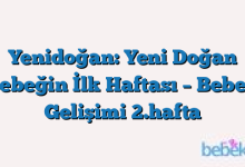 Yenidoğan: Yeni Doğan Bebeğin İlk Haftası – Bebek Gelişimi 2.hafta