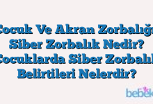 Çocuk Ve Akran Zorbalığı: Siber Zorbalık Nedir? Çocuklarda Siber Zorbalık Belirtileri Nelerdir?