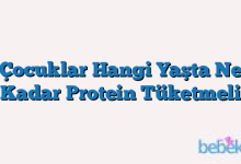 Çocuklar Hangi Yaşta Ne Kadar Protein Tüketmeli