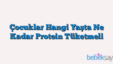 Çocuklar Hangi Yaşta Ne Kadar Protein Tüketmeli