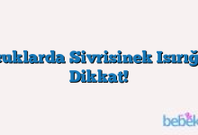 Çocuklarda Sivrisinek Isırığına Dikkat!