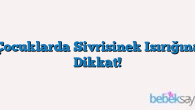 Çocuklarda Sivrisinek Isırığına Dikkat!