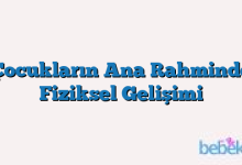 Çocukların Ana Rahminde Fiziksel Gelişimi
