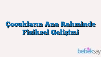 Çocukların Ana Rahminde Fiziksel Gelişimi