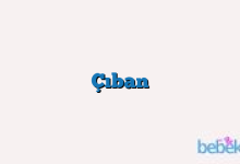 Çıban