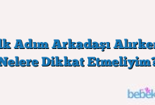 İlk Adım Arkadaşı Alırken Nelere Dikkat Etmeliyim?