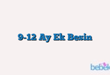 9-12 Ay Ek Besin