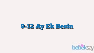 9-12 Ay Ek Besin