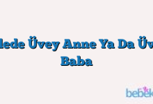 Ailede Üvey Anne Ya Da Üvey Baba