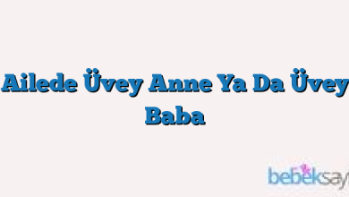 Ailede Üvey Anne Ya Da Üvey Baba