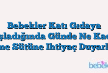 Bebekler Katı Gıdaya Başladığında Günde Ne Kadar Anne Sütüne Ihtiyaç Duyarlar?