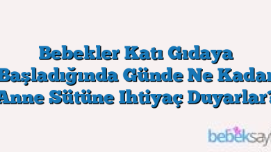 Bebekler Katı Gıdaya Başladığında Günde Ne Kadar Anne Sütüne Ihtiyaç Duyarlar?