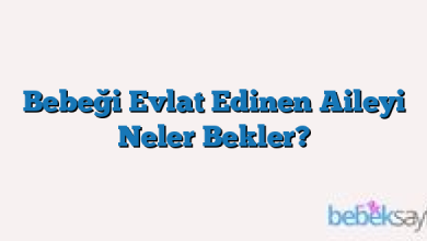Bebeği Evlat Edinen Aileyi Neler Bekler?