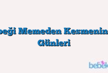 Bebeği Memeden Kesmenin İlk Günleri