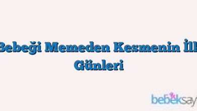 Bebeği Memeden Kesmenin İlk Günleri