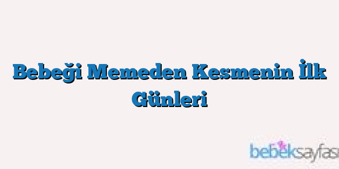 Bebeği Memeden Kesmenin İlk Günleri