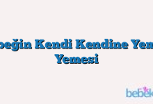 Bebeğin Kendi Kendine Yemek Yemesi