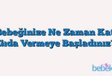 Bebeğinize Ne Zaman Katı Gıda Vermeye Başladınız?