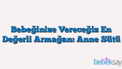 Bebeğinize Vereceğiz En Değerli Armağan: Anne Sütü
