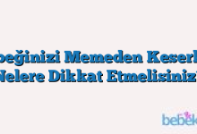 Bebeğinizi Memeden Keserken Nelere Dikkat Etmelisiniz?