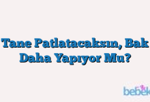 Bir Tane Patlatacaksın, Bak Bir Daha Yapıyor Mu?