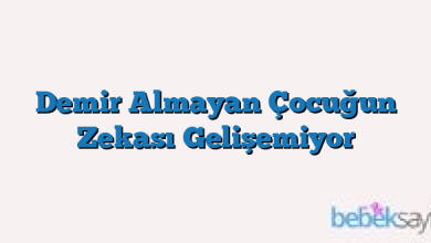 Demir Almayan Çocuğun Zekası Gelişemiyor