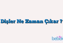 Dişler Ne Zaman Çıkar ?