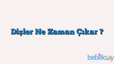 Dişler Ne Zaman Çıkar ?