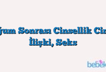Doğum Sonrası Cinsellik Cinsel İlişki, Seks