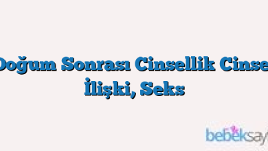 Doğum Sonrası Cinsellik Cinsel İlişki, Seks
