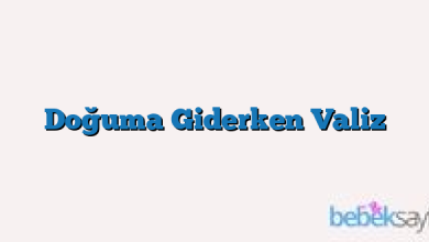 Doğuma Giderken Valiz