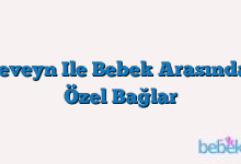 Ebeveyn Ile Bebek Arasındaki Özel Bağlar