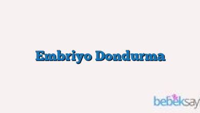 Embriyo Dondurma