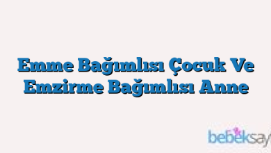 Emme Bağımlısı Çocuk Ve Emzirme Bağımlısı Anne